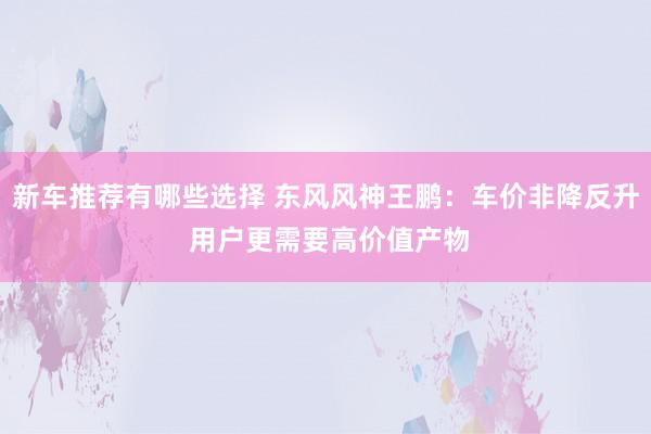 新车推荐有哪些选择 东风风神王鹏：车价非降反升 用户更需要高价值产物