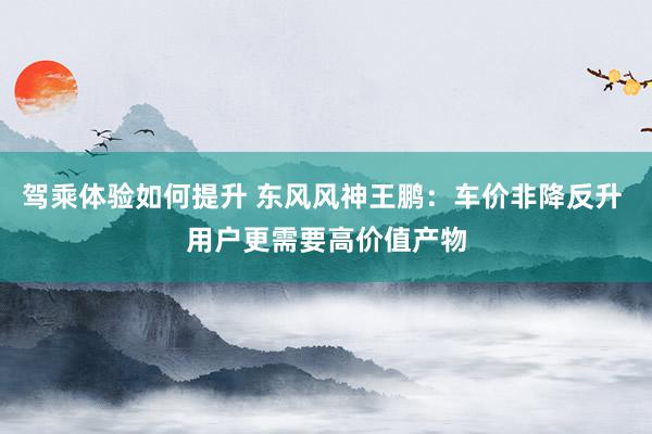 驾乘体验如何提升 东风风神王鹏：车价非降反升 用户更需要高价值产物