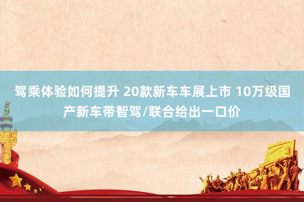 驾乘体验如何提升 20款新车车展上市 10万级国产新车带智驾/联合给出一口价