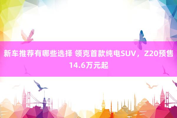 新车推荐有哪些选择 领克首款纯电SUV，Z20预售14.6万元起