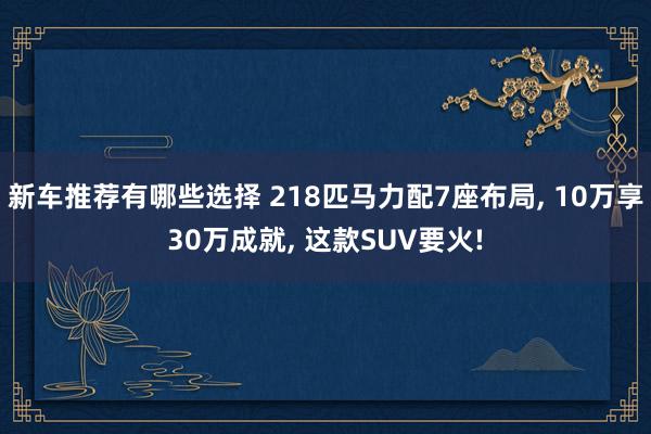 新车推荐有哪些选择 218匹马力配7座布局, 10万享30万成就, 这款SUV要火!