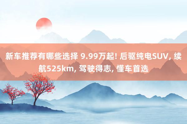 新车推荐有哪些选择 9.99万起! 后驱纯电SUV, 续航525km, 驾驶得志, 懂车首选