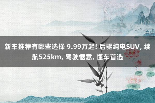 新车推荐有哪些选择 9.99万起! 后驱纯电SUV, 续航525km, 驾驶惬意, 懂车首选