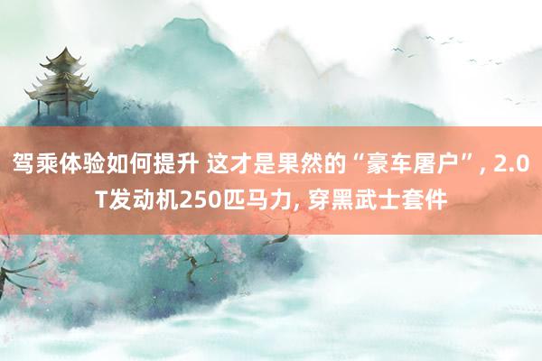 驾乘体验如何提升 这才是果然的“豪车屠户”, 2.0T发动机250匹马力, 穿黑武士套件