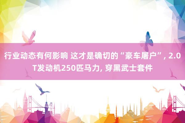 行业动态有何影响 这才是确切的“豪车屠户”, 2.0T发动机250匹马力, 穿黑武士套件