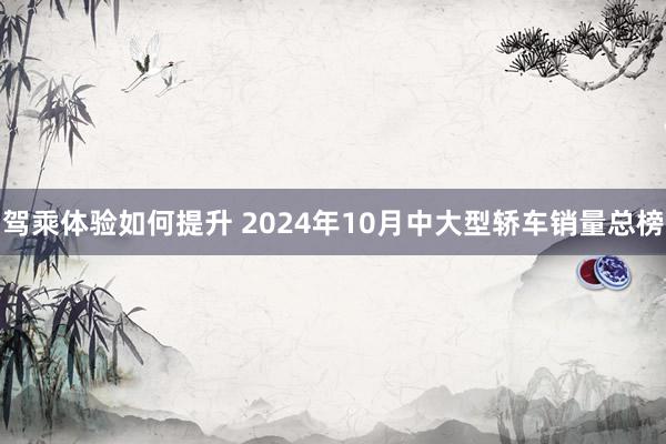 驾乘体验如何提升 2024年10月中大型轿车销量总榜