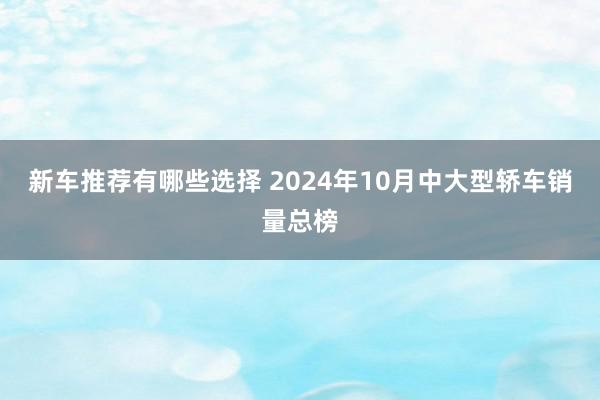 新车推荐有哪些选择 2024年10月中大型轿车销量总榜