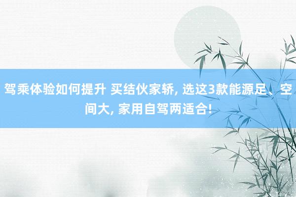 驾乘体验如何提升 买结伙家轿, 选这3款能源足、空间大, 家用自驾两适合!