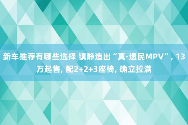 新车推荐有哪些选择 镇静造出“真·遗民MPV”, 13万起售, 配2+2+3座椅, 确立拉满