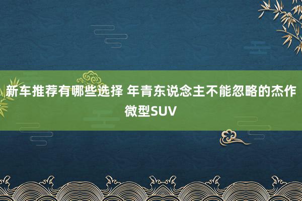 新车推荐有哪些选择 年青东说念主不能忽略的杰作微型SUV