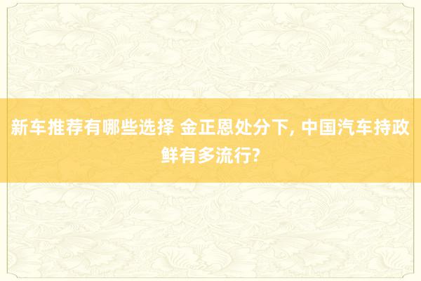 新车推荐有哪些选择 金正恩处分下, 中国汽车持政鲜有多流行?