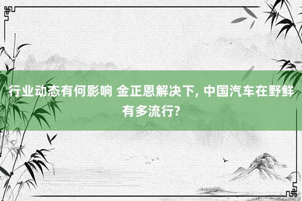 行业动态有何影响 金正恩解决下, 中国汽车在野鲜有多流行?