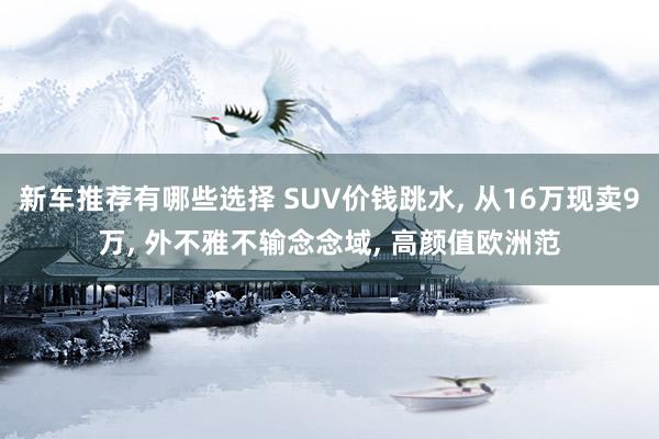 新车推荐有哪些选择 SUV价钱跳水, 从16万现卖9万, 外不雅不输念念域, 高颜值欧洲范