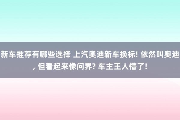 新车推荐有哪些选择 上汽奥迪新车换标! 依然叫奥迪, 但看起来像问界? 车主王人懵了!