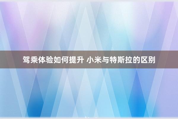 驾乘体验如何提升 小米与特斯拉的区别