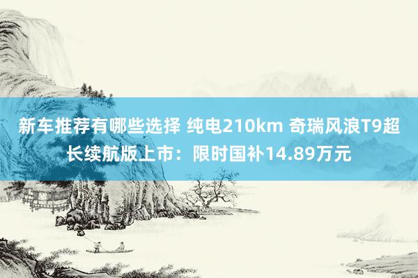 新车推荐有哪些选择 纯电210km 奇瑞风浪T9超长续航版上市：限时国补14.89万元