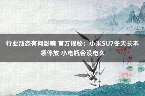 行业动态有何影响 官方揭秘：小米SU7冬天长本领停放 小电瓶会没电么