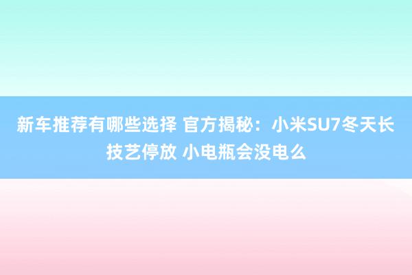 新车推荐有哪些选择 官方揭秘：小米SU7冬天长技艺停放 小电瓶会没电么