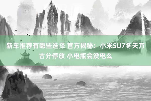 新车推荐有哪些选择 官方揭秘：小米SU7冬天万古分停放 小电瓶会没电么