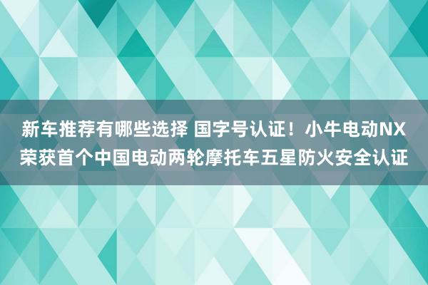 新车推荐有哪些选择 国字号认证！小牛电动NX荣获首个中国电动两轮摩托车五星防火安全认证