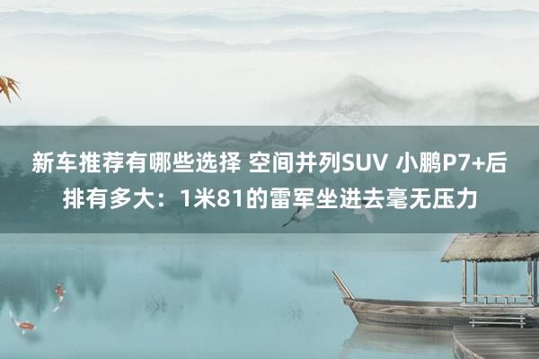 新车推荐有哪些选择 空间并列SUV 小鹏P7+后排有多大：1米81的雷军坐进去毫无压力