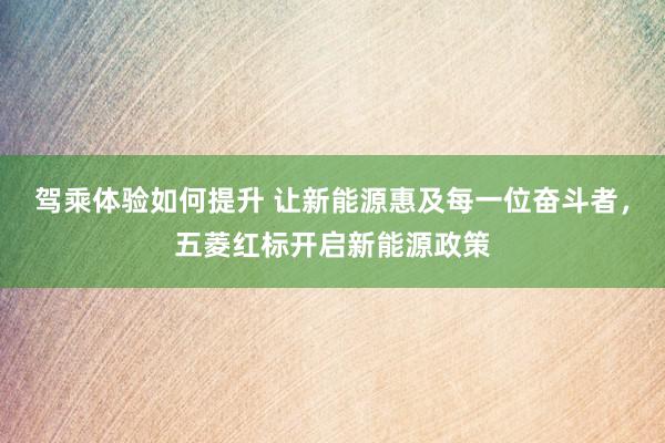 驾乘体验如何提升 让新能源惠及每一位奋斗者，五菱红标开启新能源政策