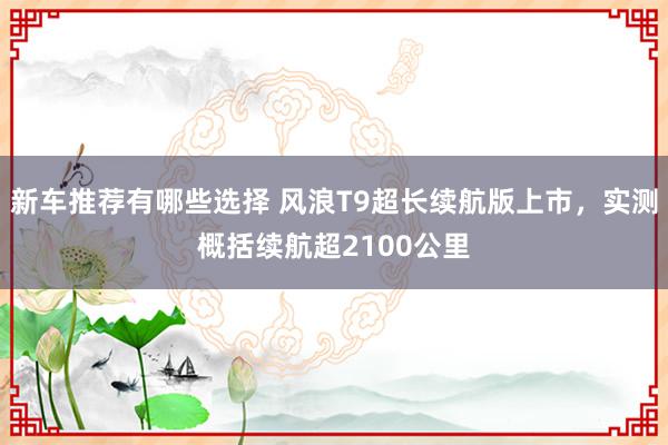 新车推荐有哪些选择 风浪T9超长续航版上市，实测概括续航超2100公里