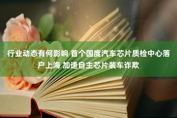 行业动态有何影响 首个国度汽车芯片质检中心落户上海 加速自主芯片装车诈欺