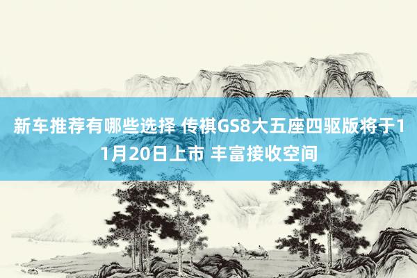 新车推荐有哪些选择 传祺GS8大五座四驱版将于11月20日上市 丰富接收空间