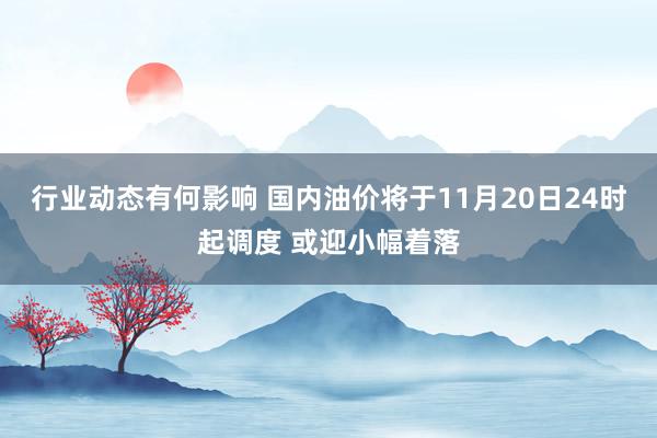 行业动态有何影响 国内油价将于11月20日24时起调度 或迎小幅着落