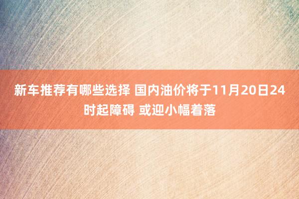 新车推荐有哪些选择 国内油价将于11月20日24时起障碍 或迎小幅着落