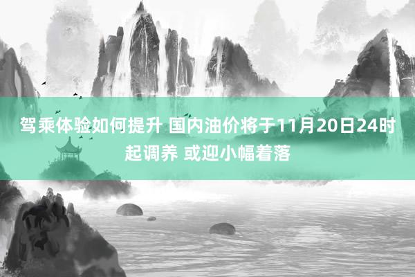 驾乘体验如何提升 国内油价将于11月20日24时起调养 或迎小幅着落