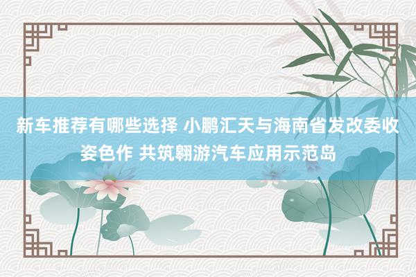 新车推荐有哪些选择 小鹏汇天与海南省发改委收姿色作 共筑翱游汽车应用示范岛