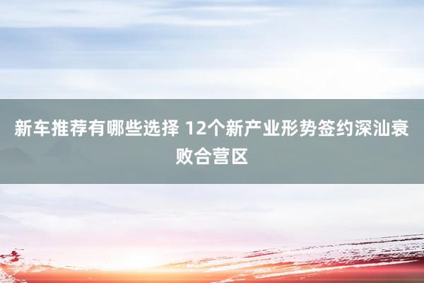 新车推荐有哪些选择 12个新产业形势签约深汕衰败合营区