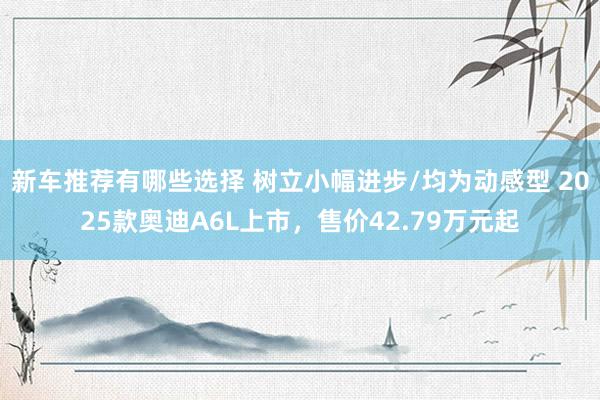 新车推荐有哪些选择 树立小幅进步/均为动感型 2025款奥迪A6L上市，售价42.79万元起