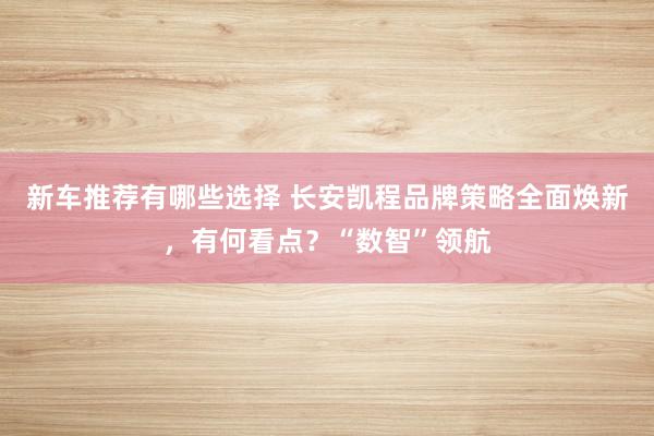 新车推荐有哪些选择 长安凯程品牌策略全面焕新，有何看点？“数智”领航