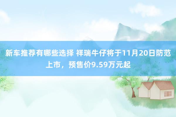 新车推荐有哪些选择 祥瑞牛仔将于11月20日防范上市，预售价9.59万元起